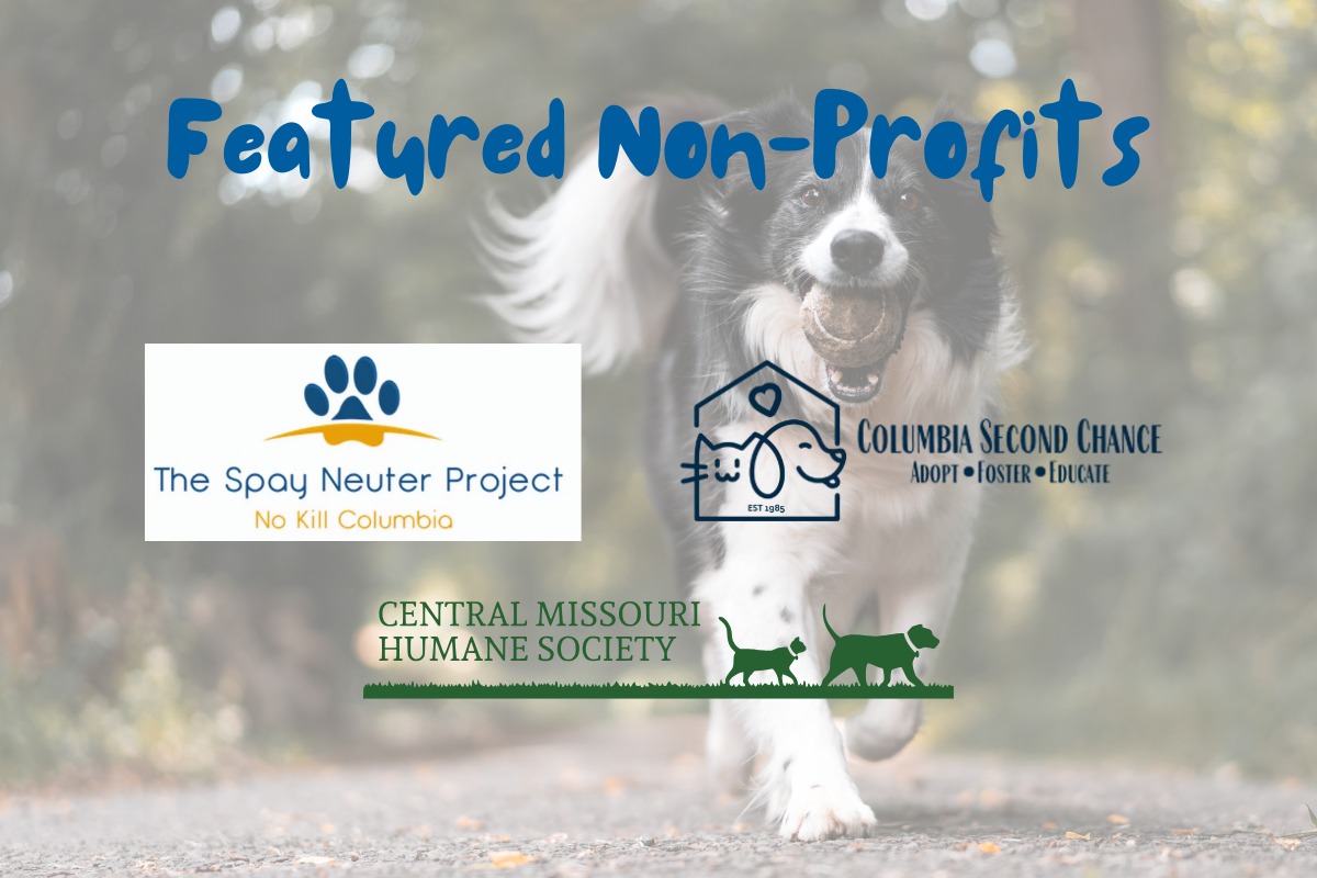 Featured Non-Profits