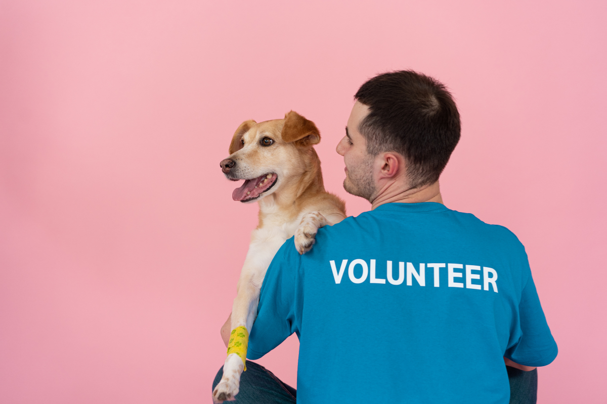 Volunteer