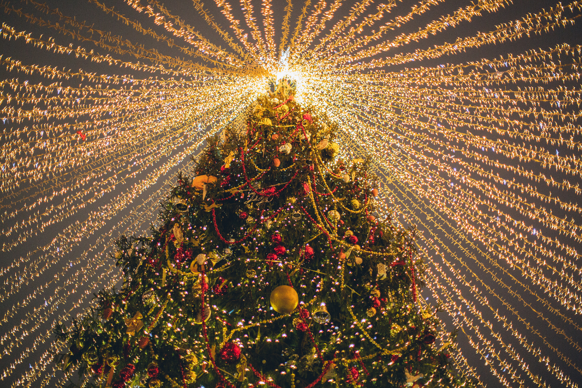Tree Lighting