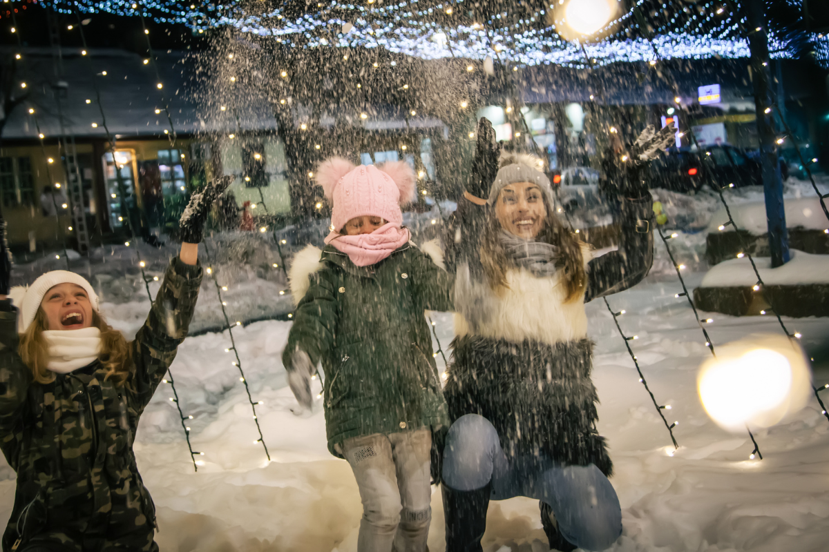Winter Wonderland Features